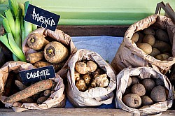 Касторовое масло для похудения, сахар в крови диета, диета для пожилых, как похудеть в щеках, язвенный колит диета, самая эфективная диета, что нужно съесть чтобы похудеть, пищевые диеты